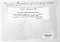 Image Associated With the Occurence